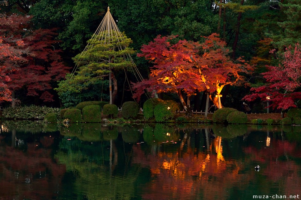 Autumn evening illumination in temple garden